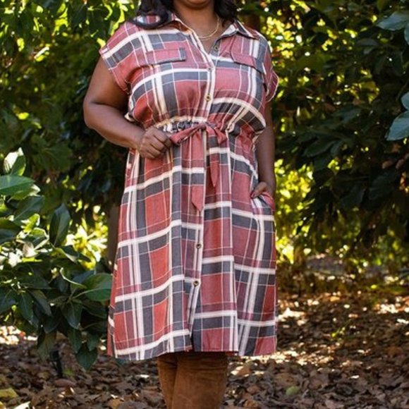 LuLaRoe Chambray Stacie Shirt Dress - Picture 4 of 5